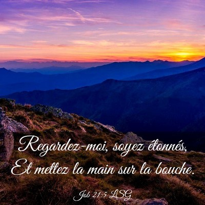 Picture 03 - Job 21:5 LSG - Regardez-moi, soyez étonnés, Et mettez la main - Bible Verse Picture