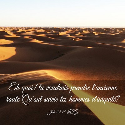 Picture 03 - Job 22:15 LSG - Eh quoi! tu voudrais prendre l'ancienne route - Bible Verse Picture