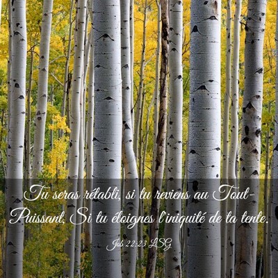 Picture 03 - Job 22:23 LSG - Tu seras rétabli, si tu reviens au - Bible Verse Picture
