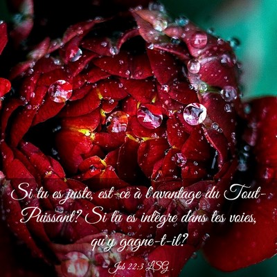 Picture 03 - Job 22:3 LSG - Si tu es juste, est-ce à l'avantage du - Bible Verse Picture