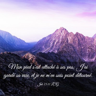 Picture 03 - Job 23:11 LSG - Mon pied s'est attaché à ses pas; J'ai gardé - Bible Verse Picture