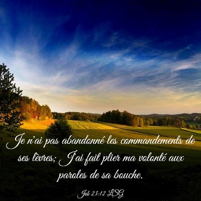 Picture 03 - Job 23:12 LSG - Je n'ai pas abandonné les commandements de ses - Bible Verse Picture
