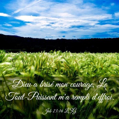 Picture 03 - Job 23:16 LSG - Dieu a brisé mon courage, Le Tout-Puissant m'a - Bible Verse Picture