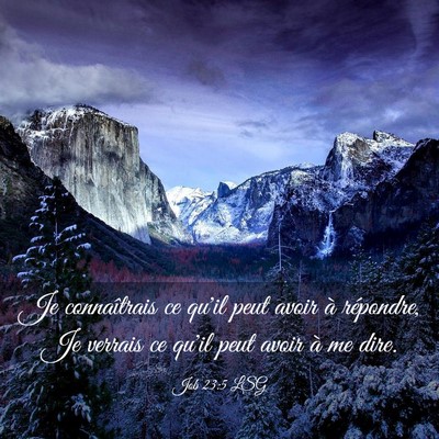 Picture 03 - Job 23:5 LSG - Je connaîtrais ce qu'il peut avoir à répondre, - Bible Verse Picture