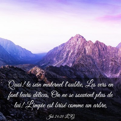 Picture 03 - Job 24:20 LSG - Quoi! le sein maternel l'oublie, Les vers en font - Bible Verse Picture
