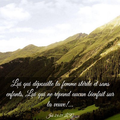 Picture 03 - Job 24:21 LSG - Lui qui dépouille la femme stérile et sans - Bible Verse Picture