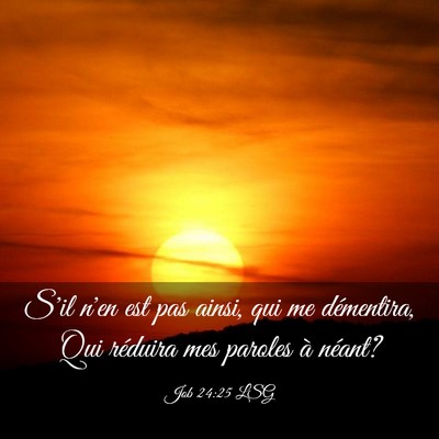 Picture 03 - Job 24:25 LSG - S'il n'en est pas ainsi, qui me démentira, Qui - Bible Verse Picture