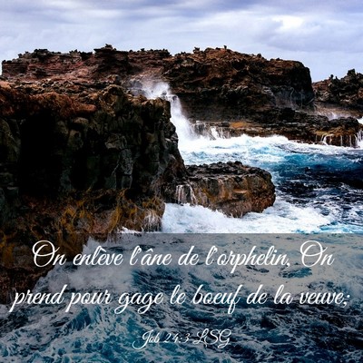 Picture 03 - Job 24:3 LSG - On enlève l'âne de l'orphelin, On prend pour - Bible Verse Picture