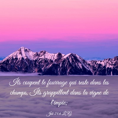 Picture 03 - Job 24:6 LSG - Ils coupent le fourrage qui reste dans les - Bible Verse Picture