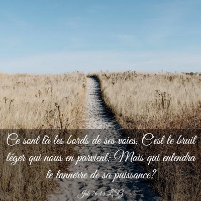 Picture 03 - Job 26:14 LSG - Ce sont là les bords de ses voies, C'est le - Bible Verse Picture