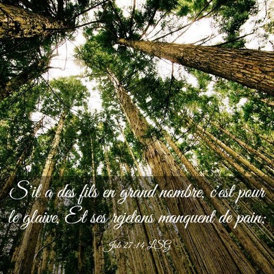 Picture 03 - Job 27:14 LSG - S'il a des fils en grand nombre, c'est pour le - Bible Verse Picture