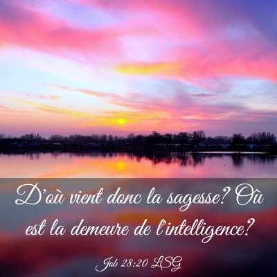 Picture 03 - Job 28:20 LSG - D'où vient donc la sagesse? Où est la demeure - Bible Verse Picture