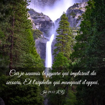 Picture 03 - Job 29:12 LSG - Car je sauvais le pauvre qui implorait du - Bible Verse Picture