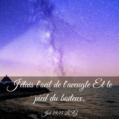 Picture 03 - Job 29:15 LSG - J'étais l'oeil de l'aveugle Et le pied du - Bible Verse Picture