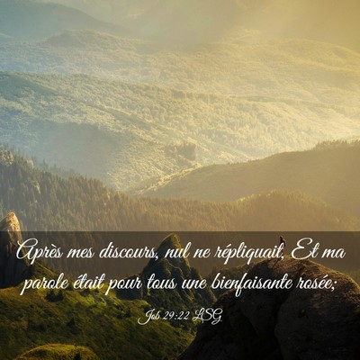 Picture 03 - Job 29:22 LSG - Après mes discours, nul ne répliquait, Et ma - Bible Verse Picture