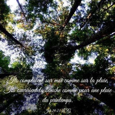 Picture 03 - Job 29:23 LSG - Ils comptaient sur moi comme sur la pluie, Ils - Bible Verse Picture