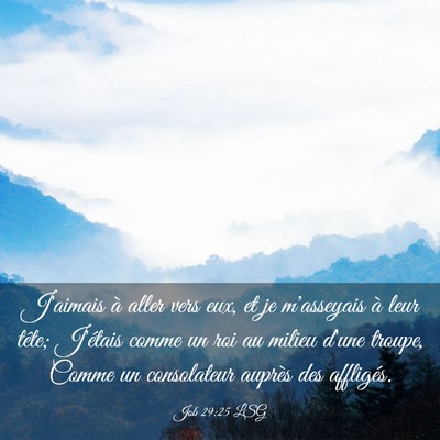 Picture 03 - Job 29:25 LSG - J'aimais à aller vers eux, et je m'asseyais à - Bible Verse Picture