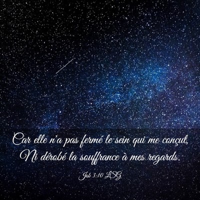 Picture 03 - Job 3:10 LSG - Car elle n'a pas fermé le sein qui me conçut, - Bible Verse Picture