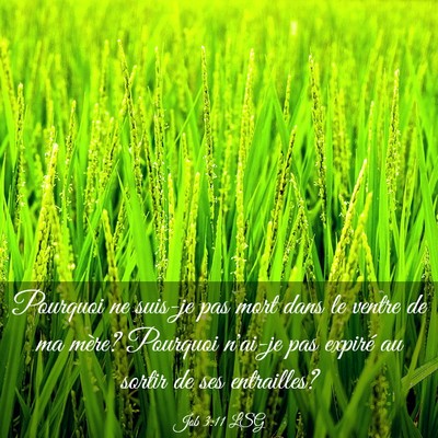 Picture 03 - Job 3:11 LSG - Pourquoi ne suis-je pas mort dans le ventre de ma - Bible Verse Picture