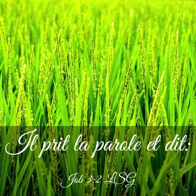 Picture 03 - Job 3:2 LSG - Il prit la parole et - Bible Verse Picture