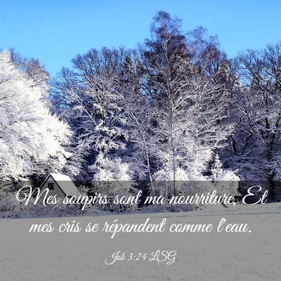 Picture 03 - Job 3:24 LSG - Mes soupirs sont ma nourriture, Et mes cris se - Bible Verse Picture
