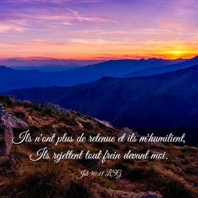 Picture 03 - Job 30:11 LSG - Ils n'ont plus de retenue et ils m'humilient, Ils - Bible Verse Picture