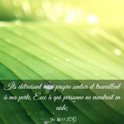 Picture 03 - Job 30:13 LSG - Ils détruisent mon propre sentier et travaillent - Bible Verse Picture
