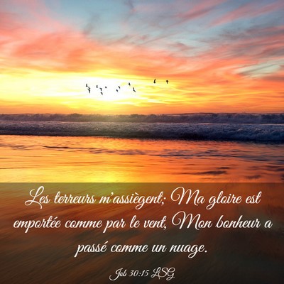 Picture 03 - Job 30:15 LSG - Les terreurs m'assiègent; Ma gloire est - Bible Verse Picture