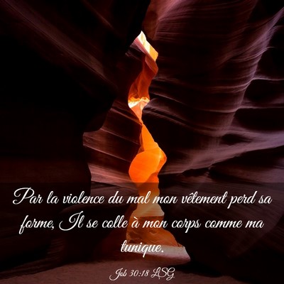 Picture 03 - Job 30:18 LSG - Par la violence du mal mon vêtement perd sa - Bible Verse Picture