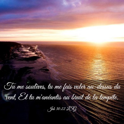 Picture 03 - Job 30:22 LSG - Tu me soulèves, tu me fais voler au-dessus du - Bible Verse Picture