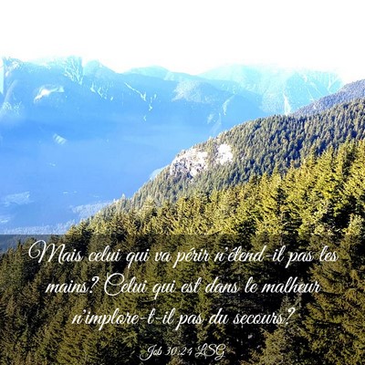 Picture 03 - Job 30:24 LSG - Mais celui qui va périr n'étend-il pas les - Bible Verse Picture