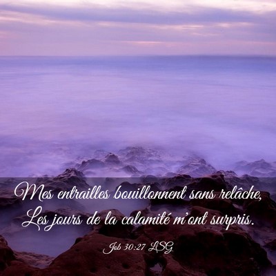 Picture 03 - Job 30:27 LSG - Mes entrailles bouillonnent sans relâche, Les - Bible Verse Picture