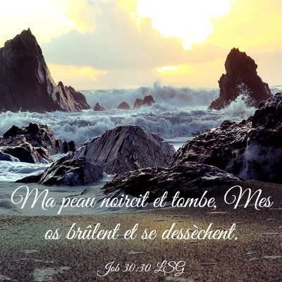 Picture 03 - Job 30:30 LSG - Ma peau noircit et tombe, Mes os brûlent et se - Bible Verse Picture