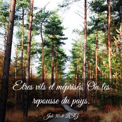 Picture 03 - Job 30:8 LSG - Etres vils et méprisés, On les repousse du - Bible Verse Picture