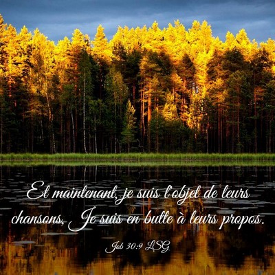 Picture 03 - Job 30:9 LSG - Et maintenant, je suis l'objet de leurs chansons, - Bible Verse Picture