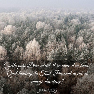 Picture 03 - Job 31:2 LSG - Quelle part Dieu m'eût-il réservée d'en haut? - Bible Verse Picture
