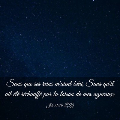 Picture 03 - Job 31:20 LSG - Sans que ses reins m'aient béni, Sans qu'il ait - Bible Verse Picture