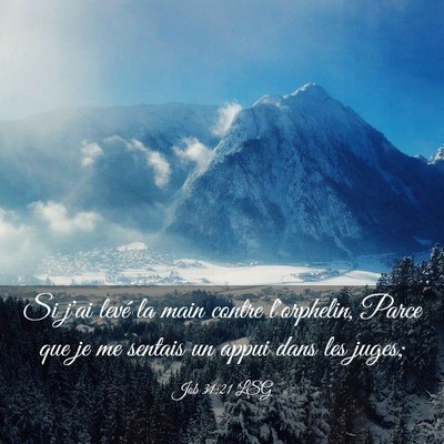 Picture 03 - Job 31:21 LSG - Si j'ai levé la main contre l'orphelin, Parce - Bible Verse Picture