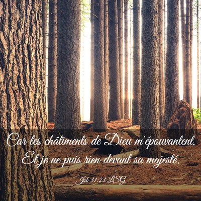 Picture 03 - Job 31:23 LSG - Car les châtiments de Dieu m'épouvantent, Et je - Bible Verse Picture