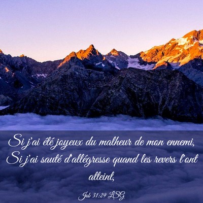 Picture 03 - Job 31:29 LSG - Si j'ai été joyeux du malheur de mon ennemi, Si - Bible Verse Picture