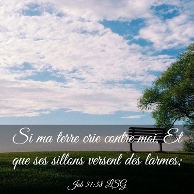 Picture 03 - Job 31:38 LSG - Si ma terre crie contre moi, Et que ses sillons - Bible Verse Picture