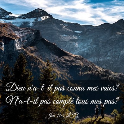 Picture 03 - Job 31:4 LSG - Dieu n'a-t-il pas connu mes voies? N'a-t-il pas - Bible Verse Picture
