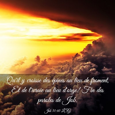 Picture 03 - Job 31:40 LSG - Qu'il y croisse des épines au lieu de froment, - Bible Verse Picture