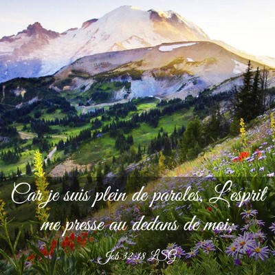 Picture 03 - Job 32:18 LSG - Car je suis plein de paroles, L'esprit me presse - Bible Verse Picture