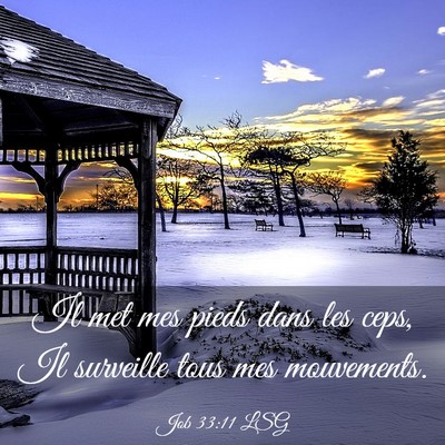 Picture 03 - Job 33:11 LSG - Il met mes pieds dans les ceps, Il surveille tous - Bible Verse Picture