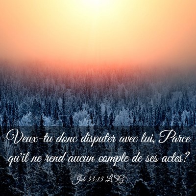 Picture 03 - Job 33:13 LSG - Veux-tu donc disputer avec lui, Parce qu'il ne - Bible Verse Picture