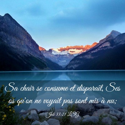 Picture 03 - Job 33:21 LSG - Sa chair se consume et disparaît, Ses os qu'on - Bible Verse Picture