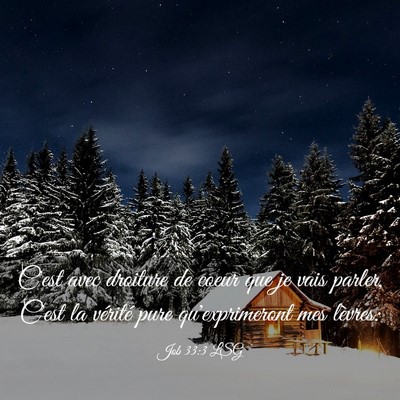 Picture 03 - Job 33:3 LSG - C'est avec droiture de coeur que je vais parler, - Bible Verse Picture