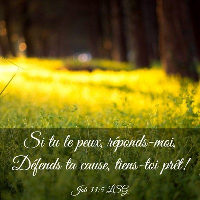 Picture 03 - Job 33:5 LSG - Si tu le peux, réponds-moi, Défends ta cause, - Bible Verse Picture