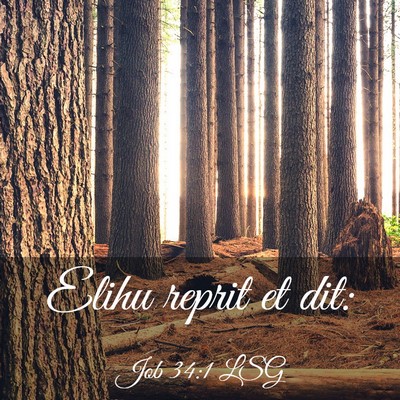 Picture 03 - Job 34:1 LSG - Elihu reprit et - Bible Verse Picture